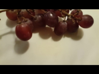 nino brown - mr problem solver grape twerk session (booty / twerk / starbutts / butt /shaking ass)
